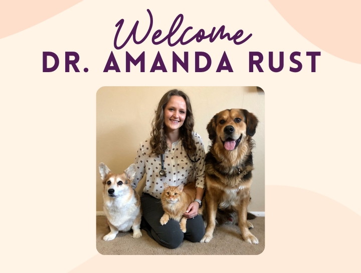 Welcome Dr. Amanda Rust